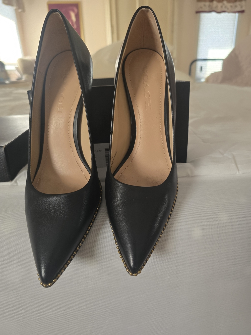 Coach Black Pointed Toe Pumps with Gold Stud Edge